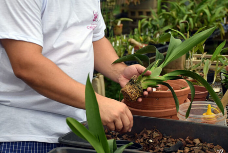 Paty do Alferes lança Circuito Roça dos Alferes para impulsionar turismo rural e agronegócio