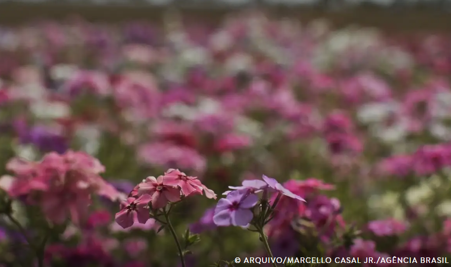 Primavera começa com chegada de frente fria, temporais e fortes ventos