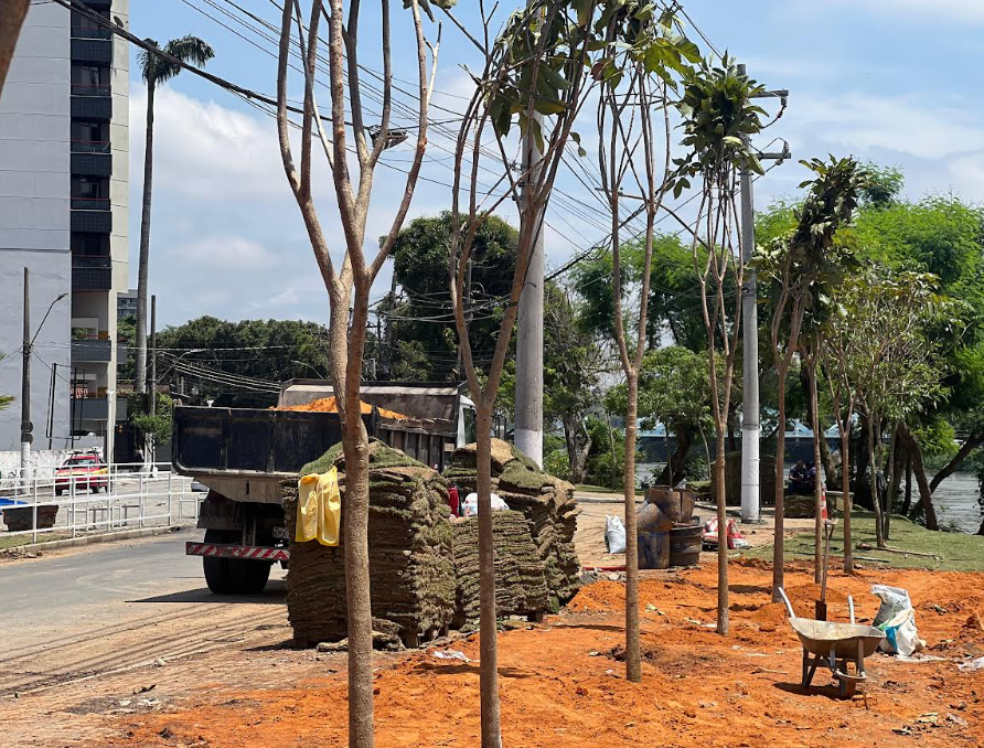 Barra Mansa inicia novembro com plantio de ipês-rosa na Beira-Rio