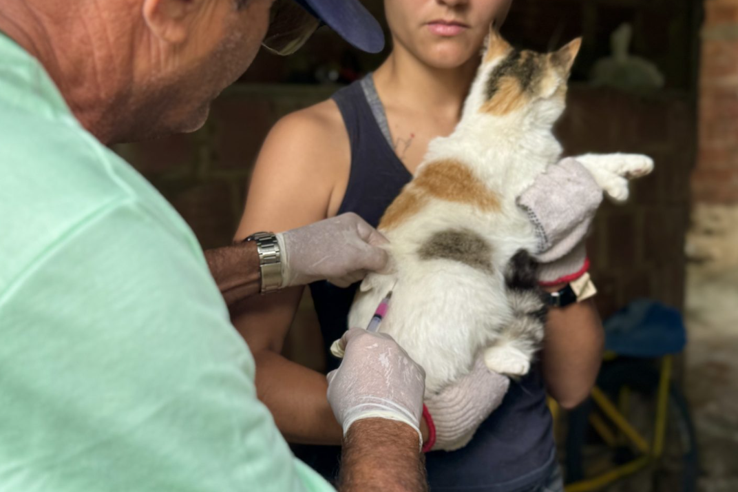 Itatiaia realiza nova etapa da campanha de vacinação antirrábica para cães e gatos