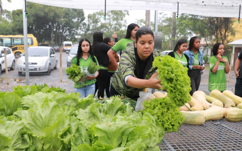 Quatis abre inscrições para o Programa Produtor Mirim 2026
