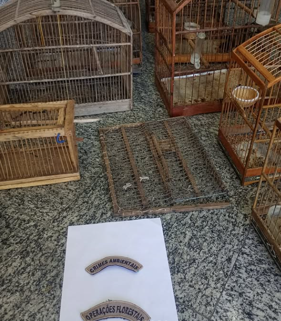 Grupamento Ambiental de Quatis apreende pássaros silvestres e materiais de caça ilegal