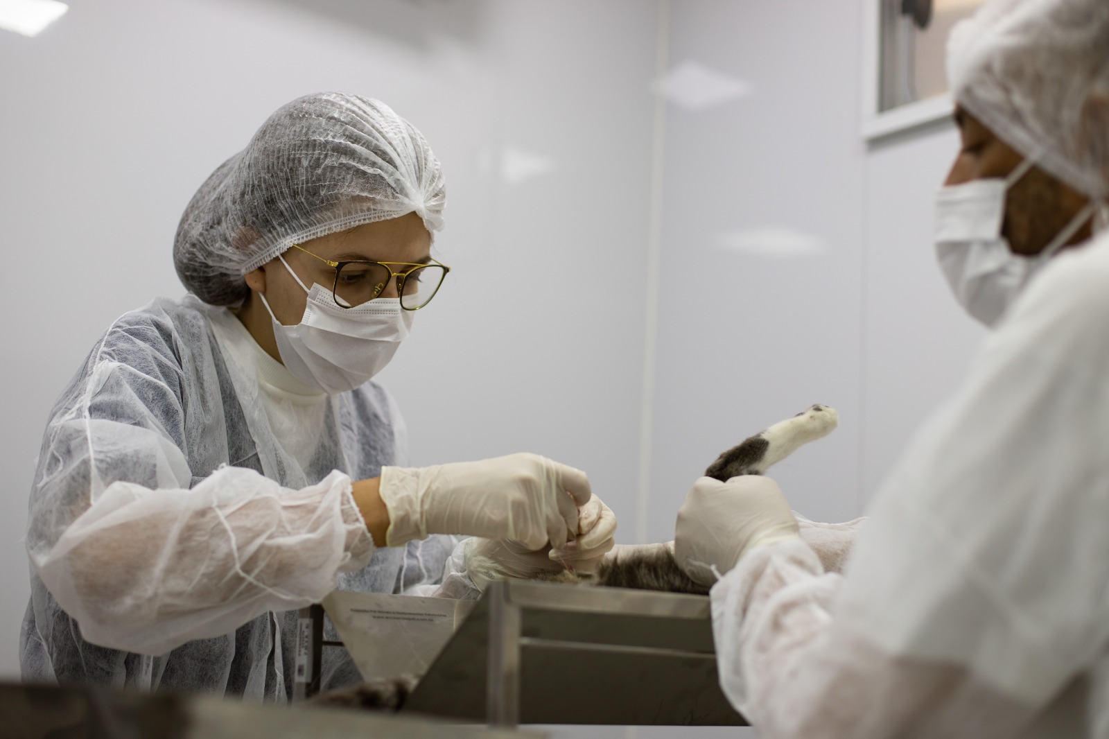 Castramóvel de Volta Redonda abre inscrições para o bairro Roma a partir de quarta-feira (22)