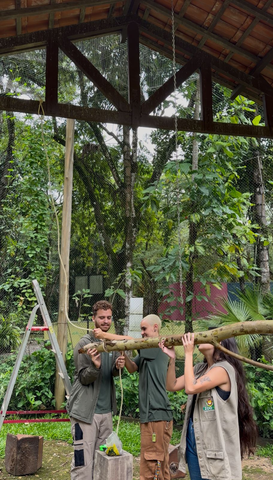 Recinto de imersão do Zoo-VR é revitalizado e reabre com melhorias e novos animais
