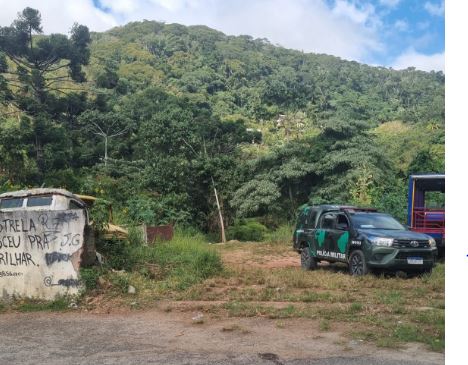 Denúncias de crimes ambientais crescem 18% no Rio de Janeiro em 2026