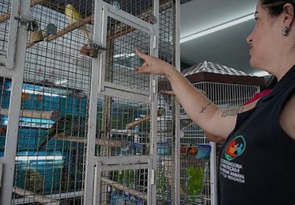 Fiscalização apreende 309 animais em estabelecimentos de Volta Redonda